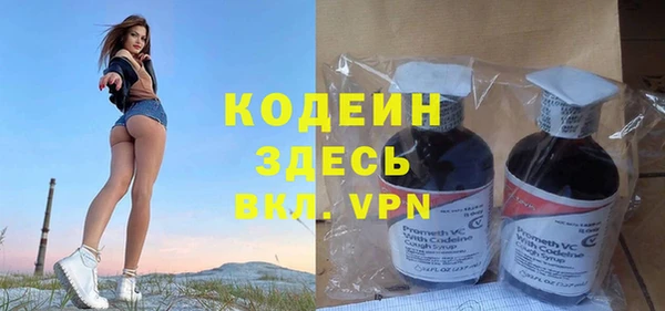 амф Няндома