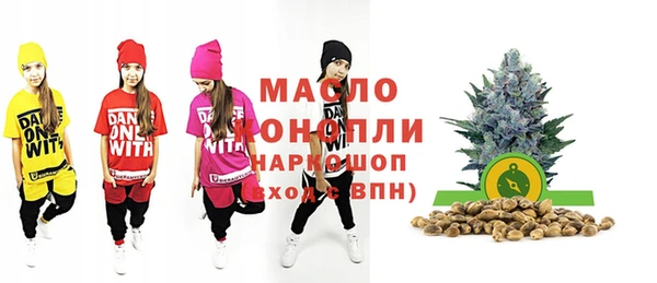 индика Дмитров