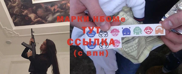 амф Няндома